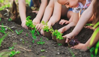 Jardin en Fête #2