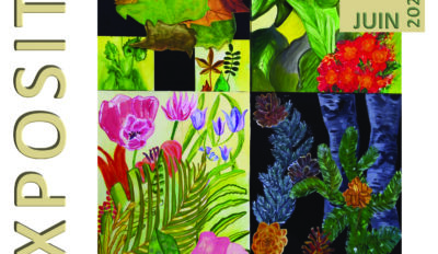 Exposition « Essences de nature » par le CCA