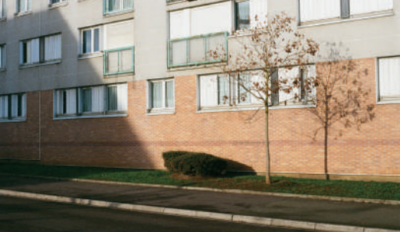 **Bibliothèque** : Exposition Demain ?
