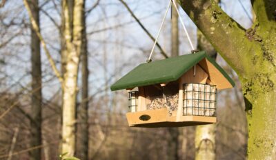 ELLSA atelier parent/enfant – mardi 24 février 2026