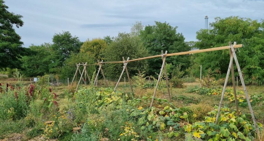 Tous au compost 2026 ! : découverte de la fermme pédagogique ELLSA – mercredi 8 avril