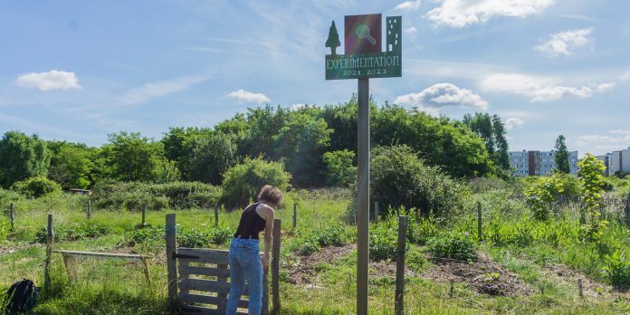Loisirs Aînés : Intégraterre : mercredi 10 juin