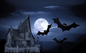 **Bibliothèque** – Club ado « Halloween : légendes urbaines et horreur »